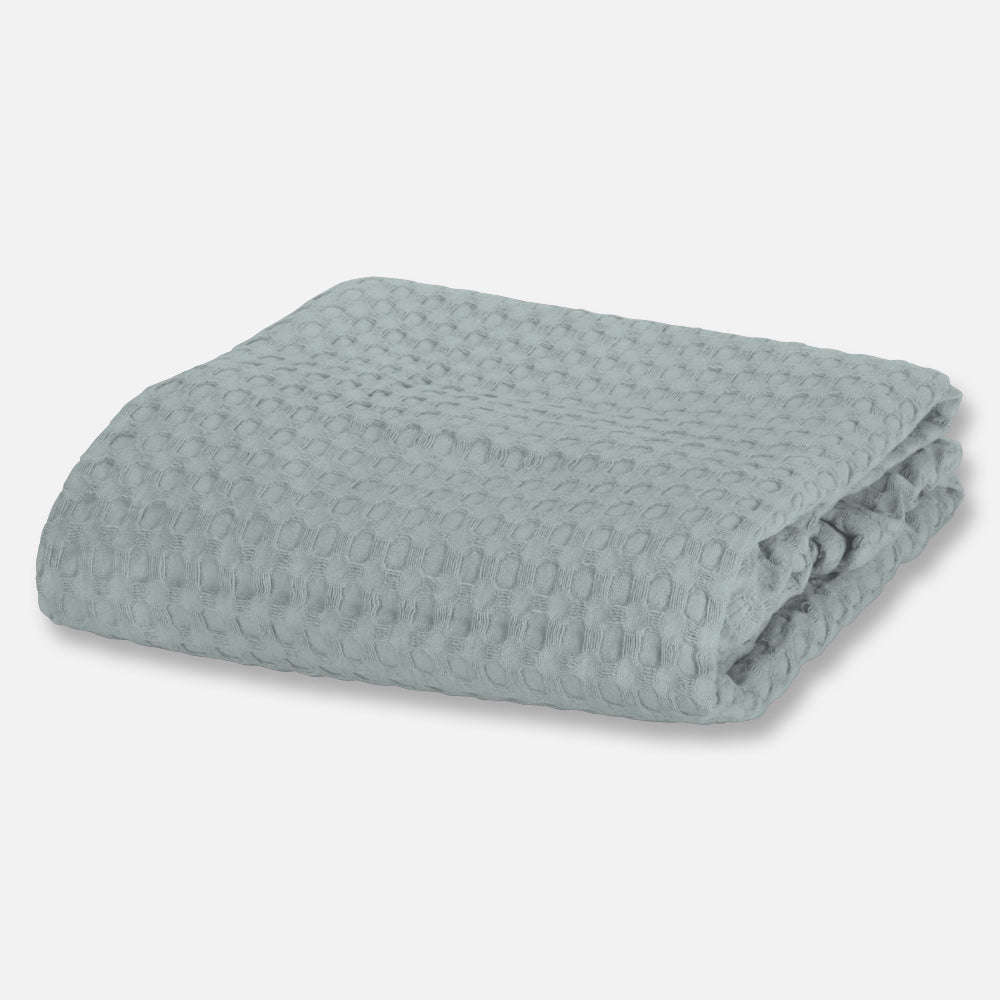 #color_ירוק סלדין